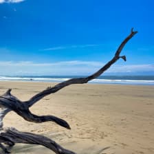 Playa Avellanas