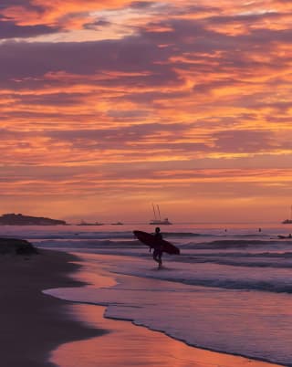 Tamarindo