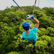 Canopy zip lining