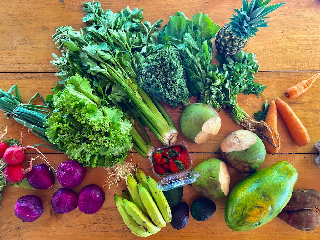 Delicious breakfast at Vida Verde Eco-Guesthouse